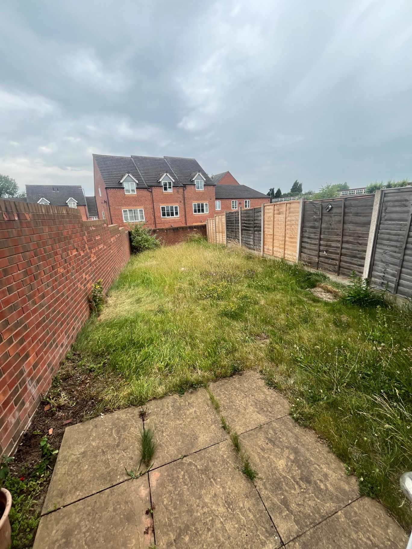 Before — Overgrown Back Garden Clean-Up