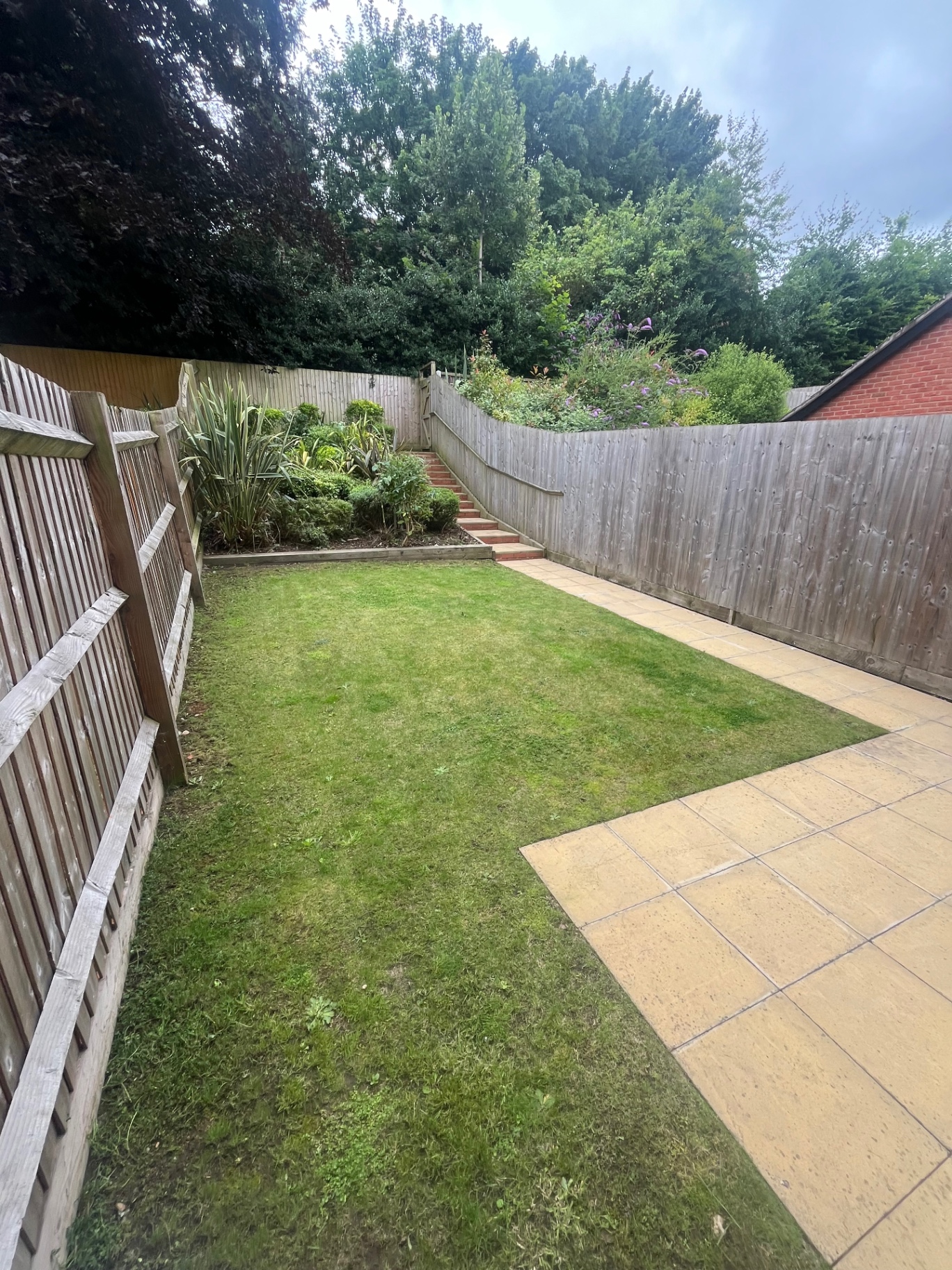 Back garden with lawn and patio